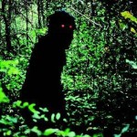 Uncle Boonmee Who Can Recall His Past Lives
