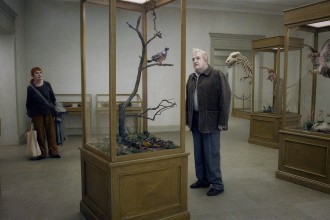 A Pigeon Sat On A Branch Reflecting On Existence