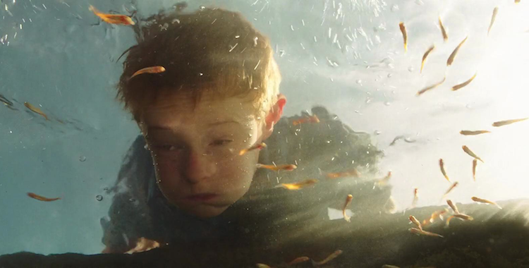 The Young And Prodigious TS Spivet