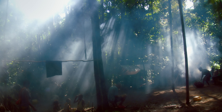 Song From The Forest