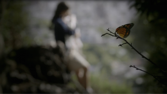 Mariposa
