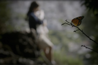 Mariposa
