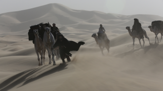 Queen Of The Desert