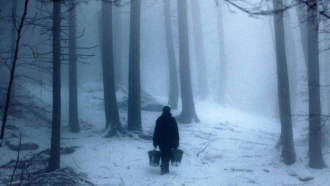 The Ice Forest