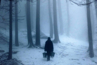 The Ice Forest