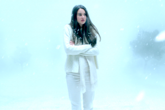 White Bird In A Blizzard