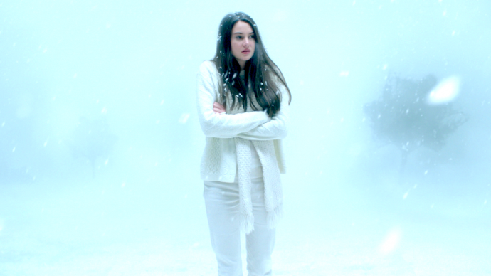 White Bird In A Blizzard
