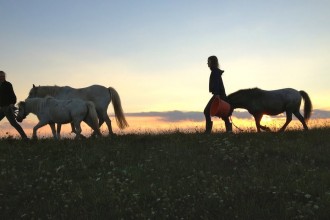 Von Mädchen und Pferden