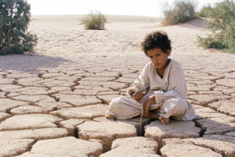 Theeb