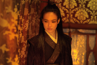 The Assassin