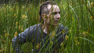 The Survivalist